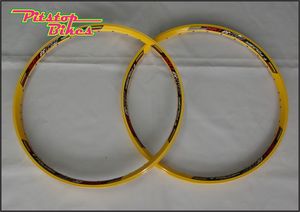 RIMS_FOLKER_AM33_YLW